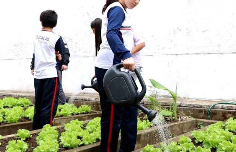 Educação sustentável transforma escola de Suzano em referência ambiental e empreendedora