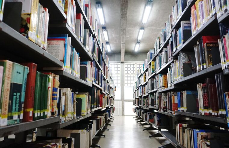 Bibliotecas municipais oferecem 34,5 mil exemplares e acervo em braile
