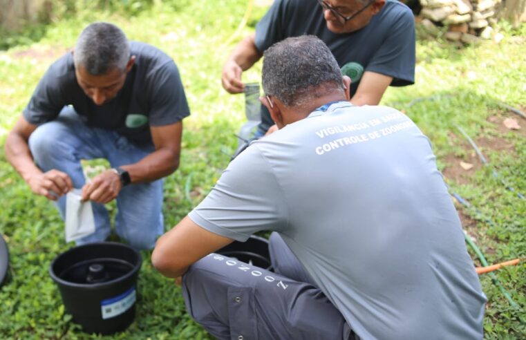 Secretaria de Saúde inicia instalação de armadilhas contra o mosquito da dengue