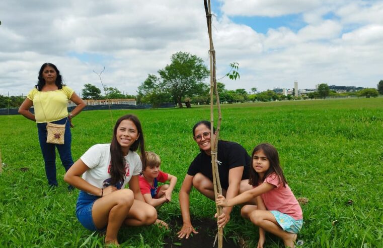 Meio Ambiente realiza último plantio do projeto ‘Árvore FamiliAr’ do ano