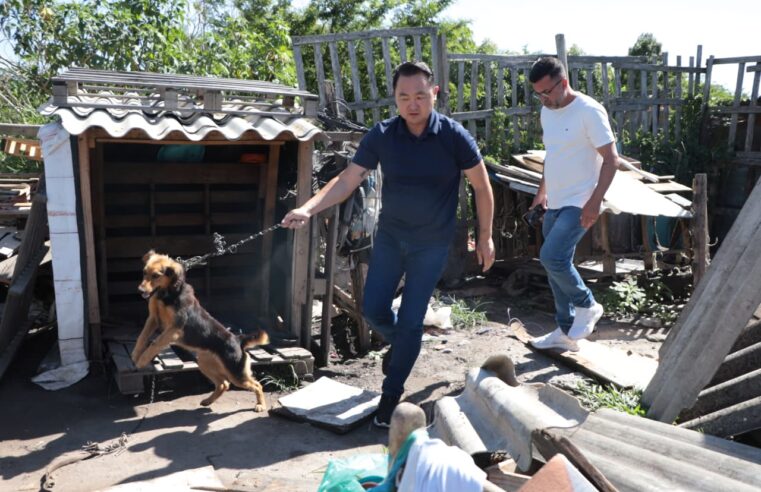 Ação conjunta resgata oito cães em situação precária no Jardim Monte Cristo
