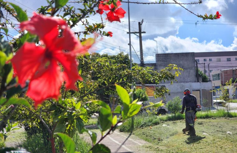 Meio Ambiente promove zeladoria em nove praças