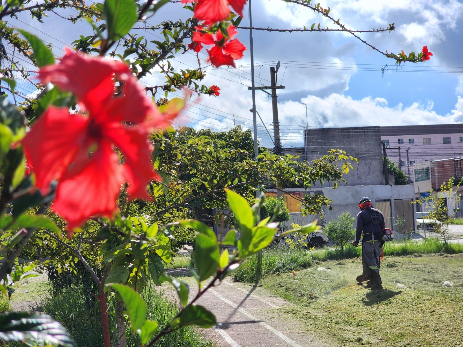 Meio Ambiente promove zeladoria em nove praças