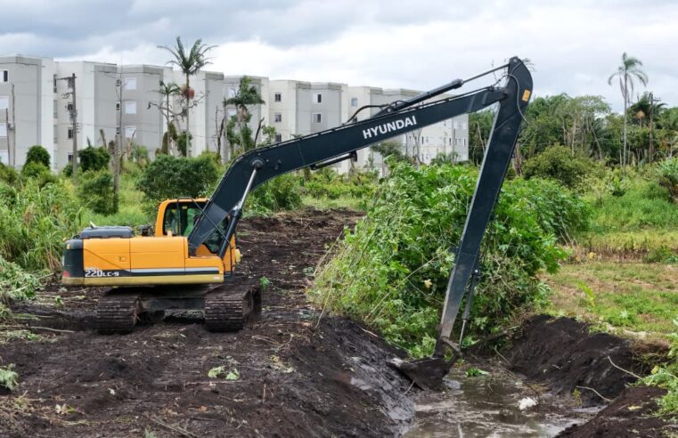 Suzano amplia força-tarefa e já soma mais de 90 toneladas de resíduos retirados