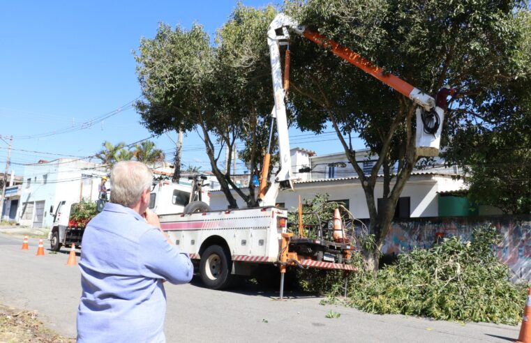 Zeladoria é reforçada no Jardim São José e nas regiões do Colorado e Casa Branca